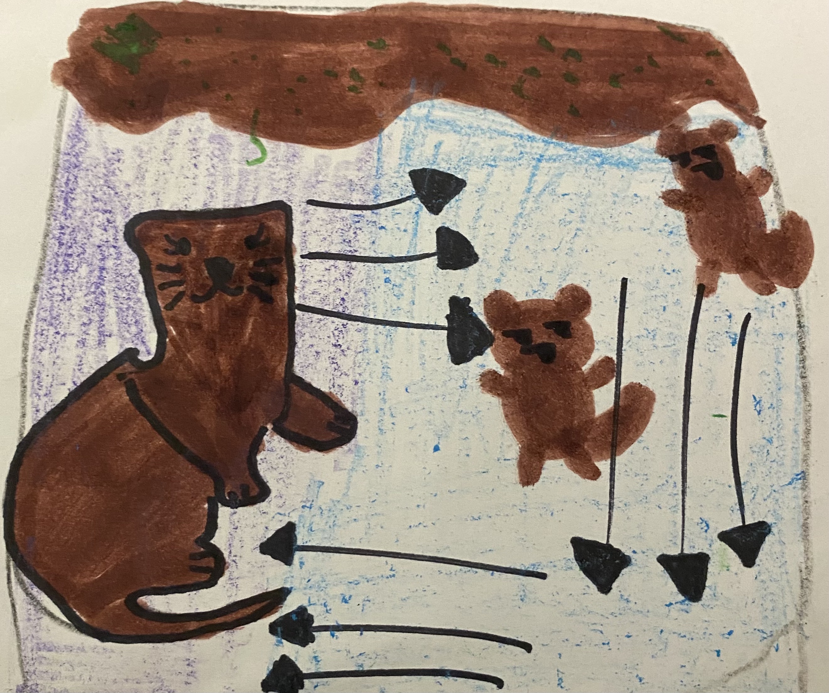 child's drawing of an otter swimming in a square shape