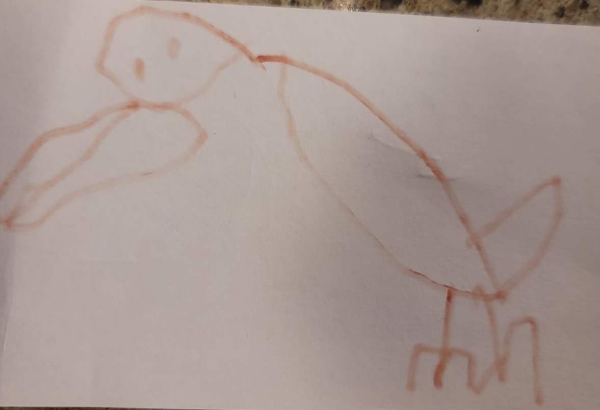 child's drawing of a red macaw