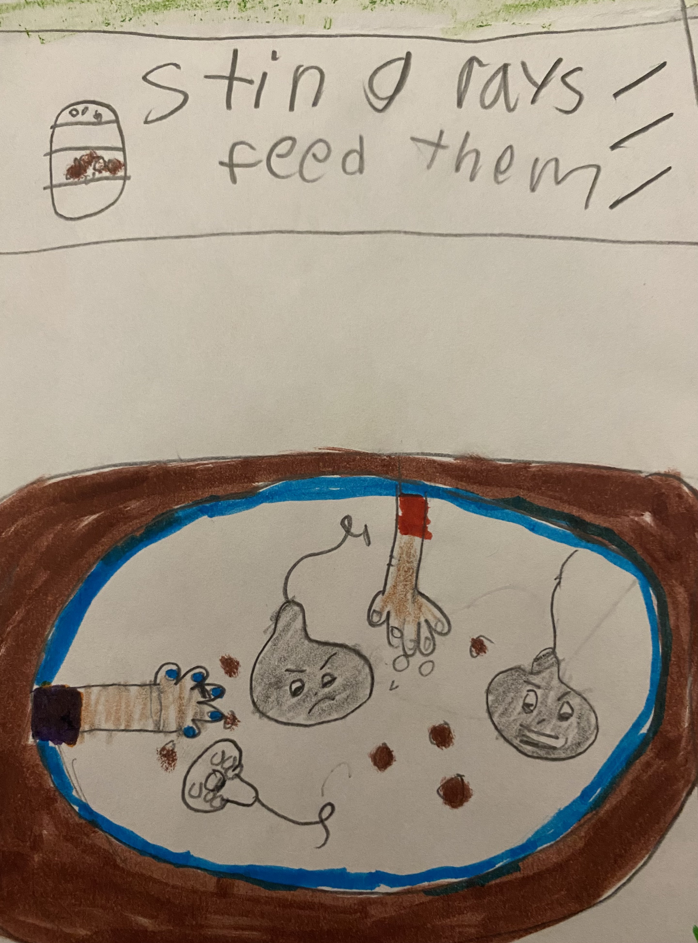 child's drawing of a tide pool